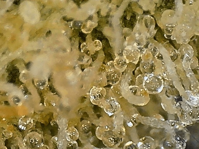 cropped-IMG_1317 cropped-IMG_1317