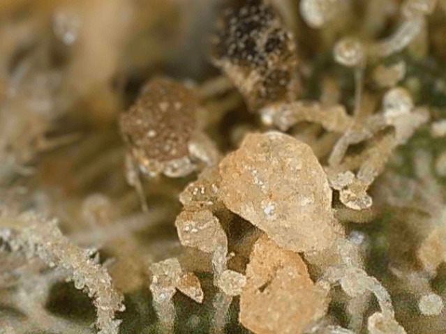 cropped-IMG_1325 cropped-IMG_1325