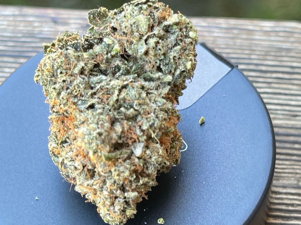 cropped-PureBeautyBermudaTriangle