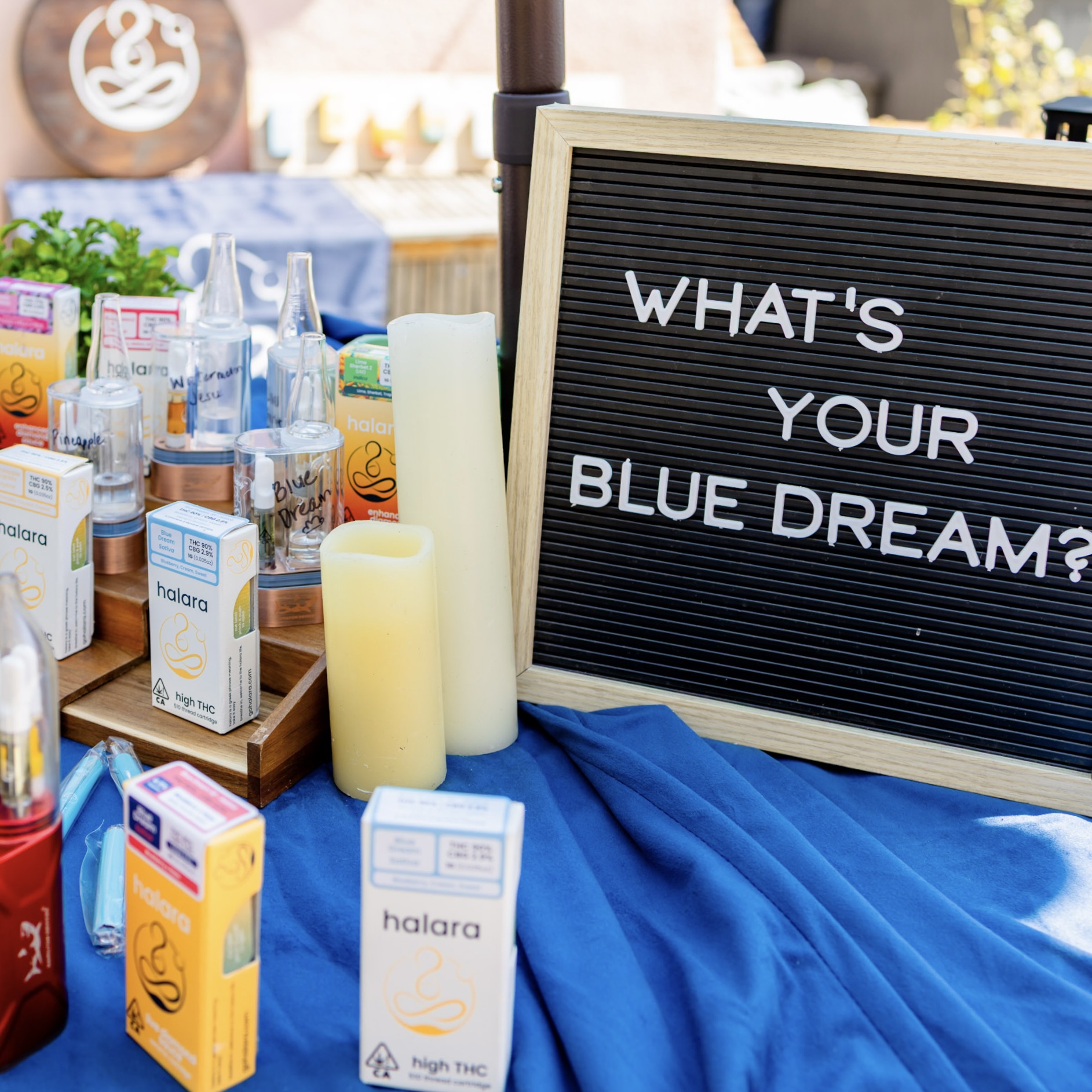 250323_Blue Dream_0555 2