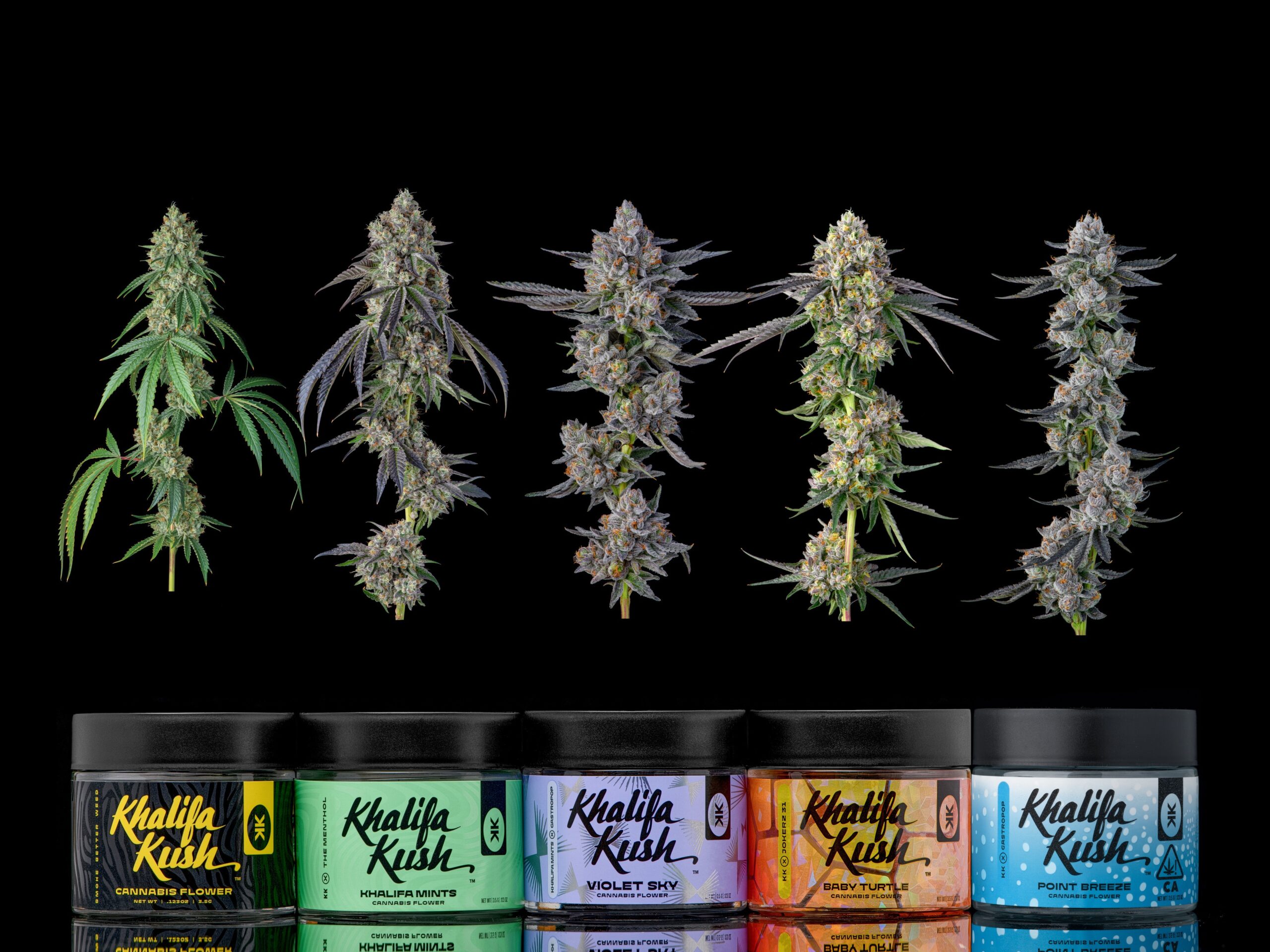 cropped-250216_KhalifaKush_PointBreeze_Jar_9 (1) cropped-250216_KhalifaKush_PointBreeze_Jar_9 (1)